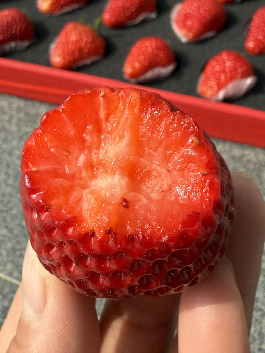 爱马仕奶油红草莓 商品图1