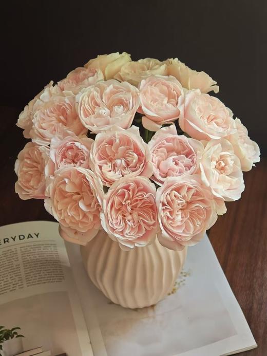 奶茶单头玫瑰20枝 商品图0