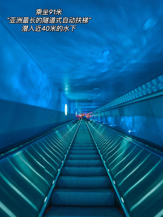 最后1人❗️春假王炸专场4.1-4.2【大国小工匠：重庆乌江国防水利探秘营】首发新团：水利+国防+非遗三倍体验，知识三倍；一次打卡探秘816国X工程+白鹤梁水利溯源；涪陵榨菜非遗探秘；乌江绝美夜景 商品图14