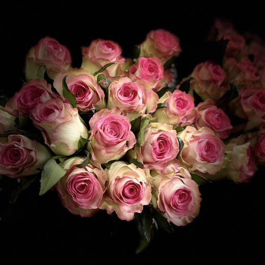 玫瑰.水精灵 商品图2