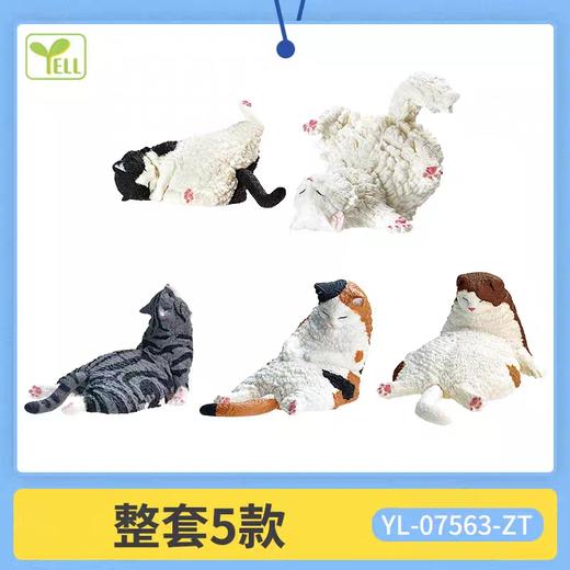 困困猫咪 摆件【盲盒】 商品图0