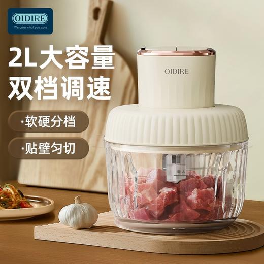 【632优选】德国OIDIRE绞肉机ODI-JR75-SH1069 商品图2