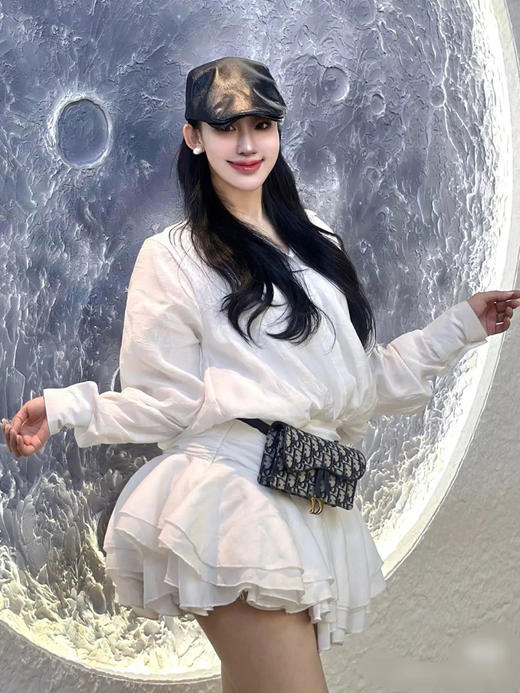 DIOR 老花 马鞍 woc 腰包 商品图3