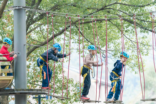 【智行研学】3.14植此新绿 商品图4