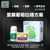 夏黑葡萄花果方案包 （兑水30斤）安全，防病，高效，操作简单。 商品缩略图1