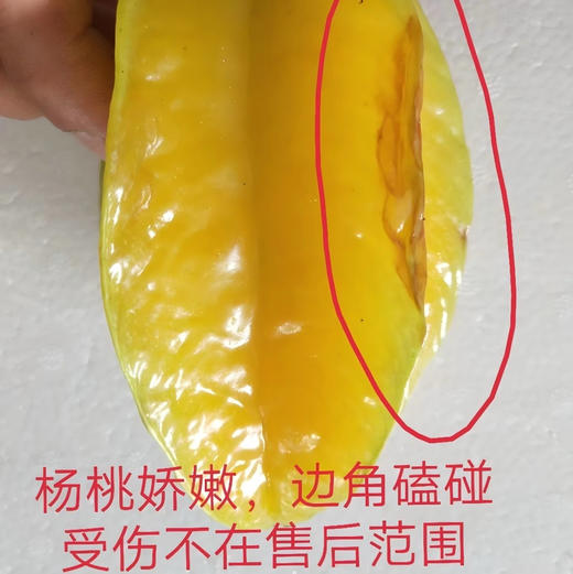 【下单后48小时左右发货】福建漳州软枝树上熟杨桃  3斤左右 约6-8个 清甜可口 水分足 鲜嫩多汁 ，纤维少、果脆汁多、甜酸可口、芳香清甜 商品图12