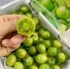 品牌电白千禧小番茄礼盒顺丰包邮*3箱 商品缩略图2