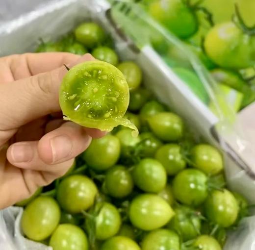 品牌电白千禧小番茄礼盒顺丰包邮*3箱 商品图2