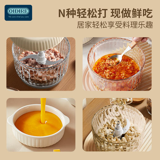 【632优选】德国OIDIRE绞肉机ODI-JR75-SH1069 商品图3