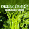 【云南高原水果清芹】脆嫩多汁清甜无渣 清香回甘生吃爽口 商品缩略图0
