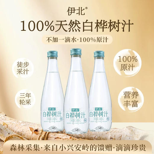 伊北白桦树汁330ml 商品图2