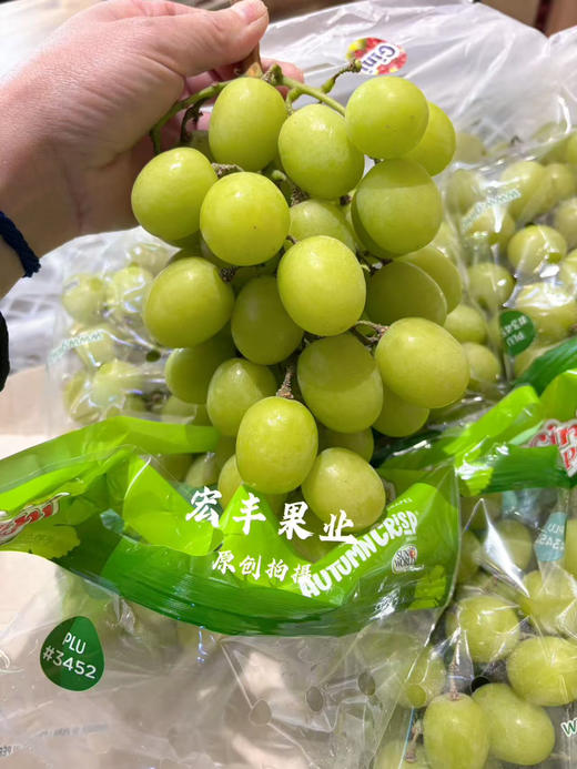 宏丰精选 进口甜地球青提  脆甜爽口  活动价23.8元一斤 商品图6