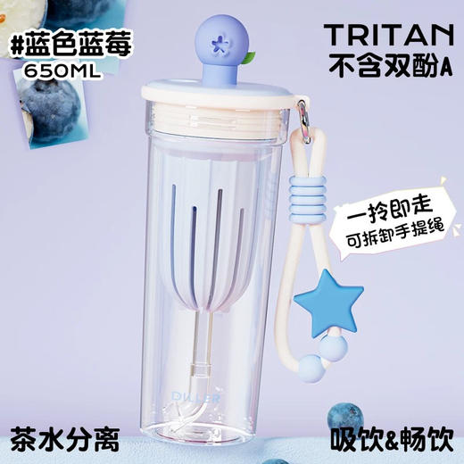 迪乐贝尔水果吸管杯650ml 商品图1