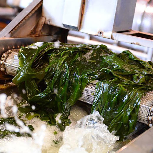 【海芝宝】双有机盐渍深海小海带1.5kg  胖&来/山&姆/麦&龙同品质  双有机认证 双倍安心选择 商品图3