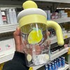 迪乐贝尔水果冰霸杯800ml 商品缩略图1