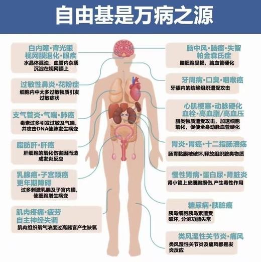 仅三麦角硫因元气美白胶囊，开启细胞级内源焕白新时代！单粒麦角硫因豪华添加至60mg！ 同时每粒添加白番茄提取物30mg协同作用！ 商品图4