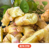 【云南文山小黄姜】生态种植姜香浓郁 肉质金黄调味佳品 商品缩略图4
