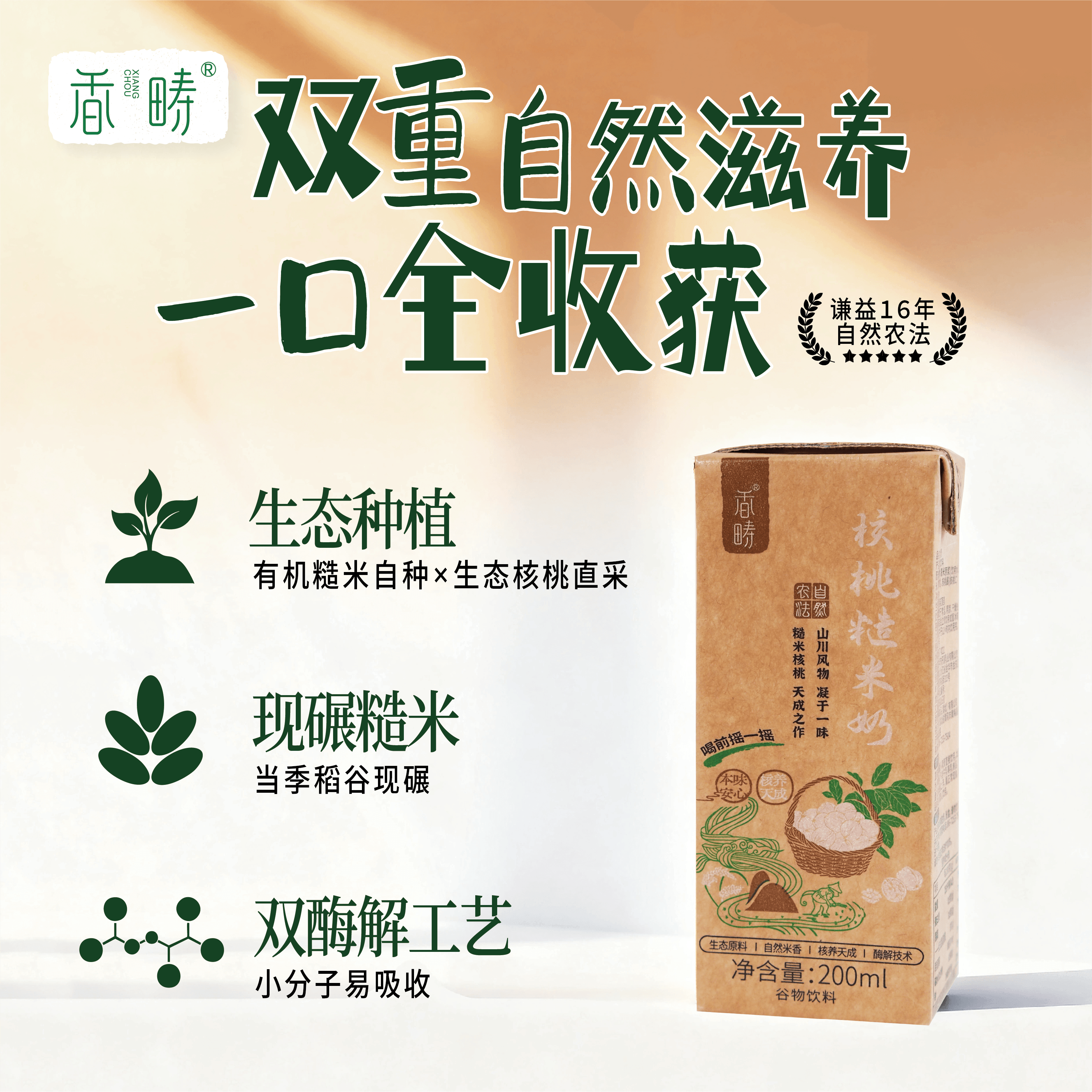 【新品】谦益 核桃糙米奶200ml*6瓶（1箱） 双重自然滋养 0乳糖 0蔗糖 0胆固醇 0反式脂肪酸 醇香丝滑 自然清甜