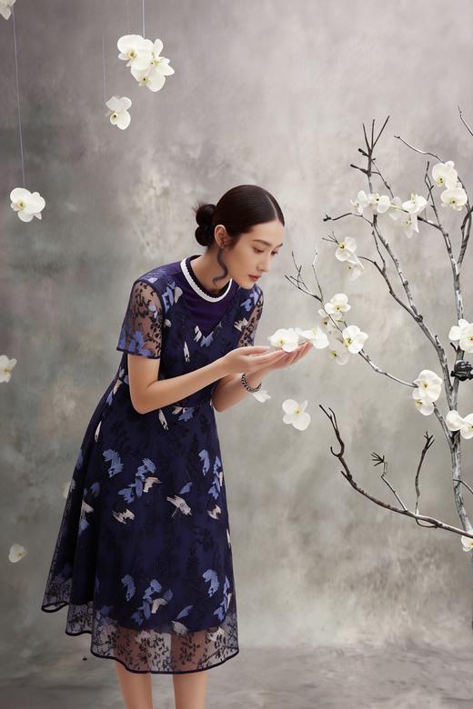 HJ2S50_黛蓝色_连衣裙_四季_优雅复古撞色网纱刺绣圆领收腰显瘦中裙_高级女装_BERNIEELEN 伯妮斯茵 商品图5