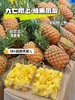 九七树上，糖果凤梨 商品缩略图1