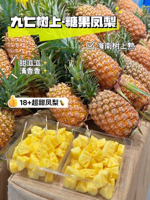 九七树上，糖果凤梨 商品图1