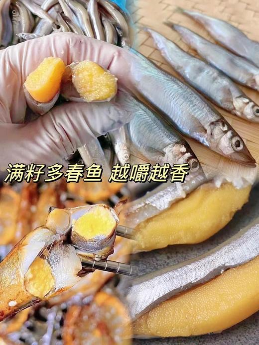xm【好鲜刚到港】超鲜的满籽多春鱼，新鲜度满满渔船回港来货咯！今天给大家安排上，鲜度看得见，活冻！ 商品图1