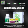 夏黑葡萄花果方案包 （兑水30斤）安全，防病，高效，操作简单。 商品缩略图2