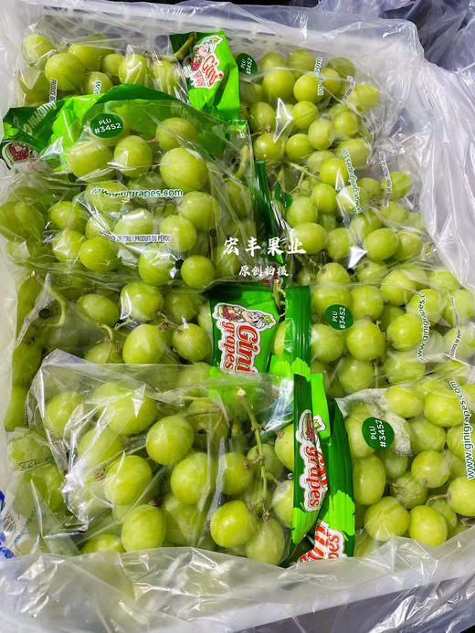 宏丰精选 进口甜地球青提  脆甜爽口  活动价23.8元一斤 商品图7