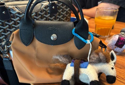 海关龙骧mini饺子发财包可遇不可求‼️ 商品图6