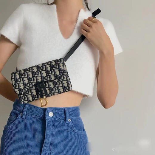 DIOR 老花 马鞍 woc 腰包 商品图2