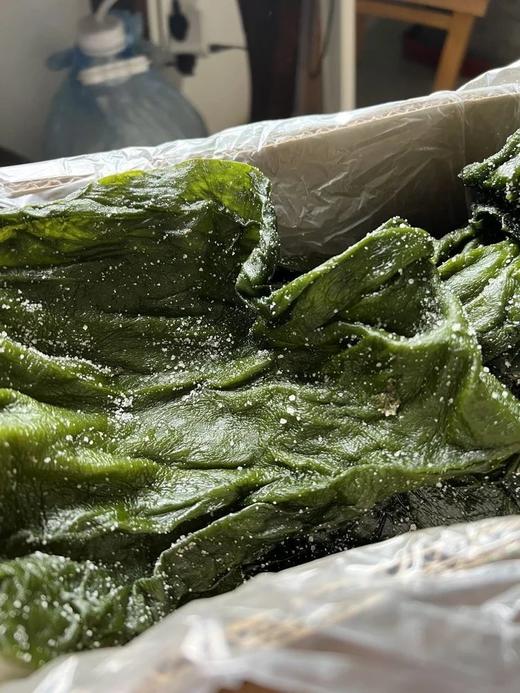 【双有机深海盐渍小海带】口感嫩滑有嚼劲 有机认证 一箱一码 非人工养殖 40米深海自然生长 新鲜采摘 不管是凉拌 煲汤还是涮火锅 这海带都能轻松驾驭基地直邮 商品图2
