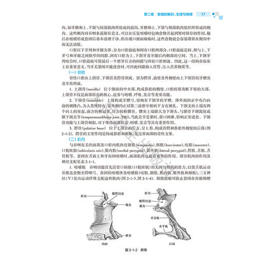 康复治疗师临床工作指南 吞咽障碍康复治疗技术 第2二版 万桂芳 张庆苏 主编 参考书 西医 临床医学 9787117390002人民卫生出版社 商品图4