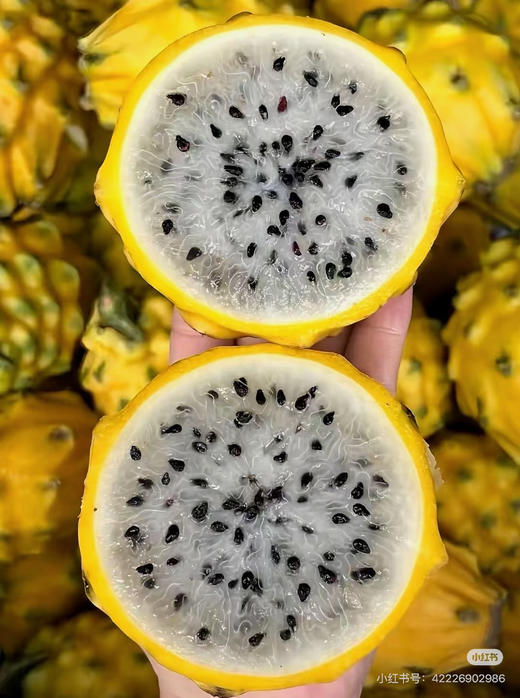 好甜多汁的果中贵族“燕窝果”一盒4个约1.6斤 商品图4