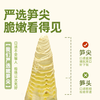 【洪星竹▪有机嫩笋尖】有机鲜采脆嫩无渣 清甜爽口鲜嫩多汁 商品缩略图3