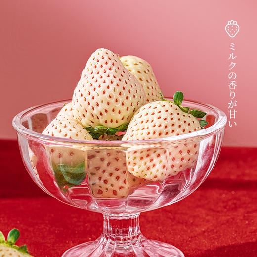 【十堰主城区包邮】新鲜水果 绿道有机农场淡雪草莓白草莓 整筐 2斤/筐 商品图1