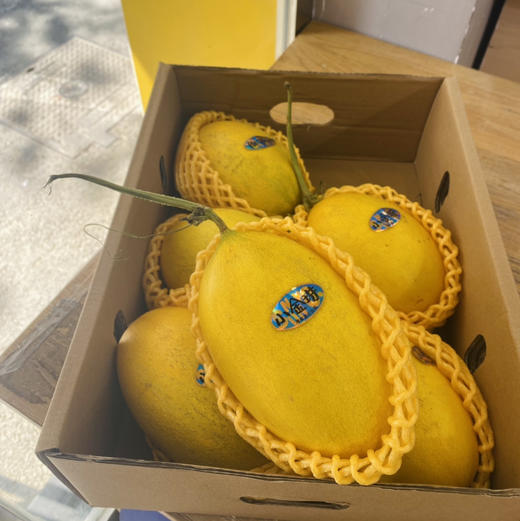 海南小金珠甜瓜（一个2斤左右）要切备注 商品图0