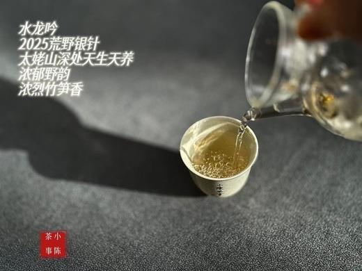 【2026春茶预订】2026荒野银针《水龙吟》，盛开在初春暖花中的碧水云天，野劲十足，野性十足！ 商品图5