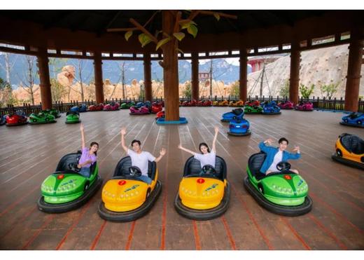 3月15日：植树活动+游园+游乐场项目无限次畅玩 商品图6