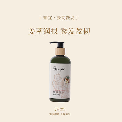 【八周年庆典】珀宜·姜韵洗发水350ml 商品图1