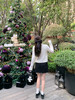 <曾小咸推荐>3.11现货秒杀 ！微信超特价！韩系蕾丝边假两件针织衫 日常219.99 立减130 秒杀89.99！！ 商品缩略图11