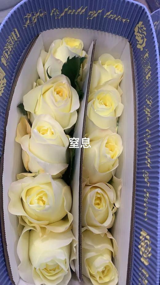 玫瑰-----窒息 商品图2