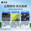 华畜粪硫菌改底颗粒水产养殖调水解毒改底地衣枯草芽孢杆菌底改王 商品缩略图4