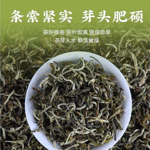 2026头春第一批绿茶 商品图1