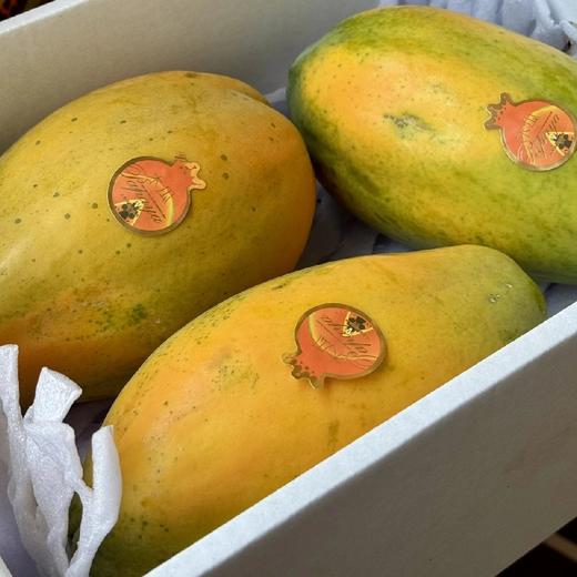 海南冰糖木瓜【3-4粒 净重约5斤】 商品图5