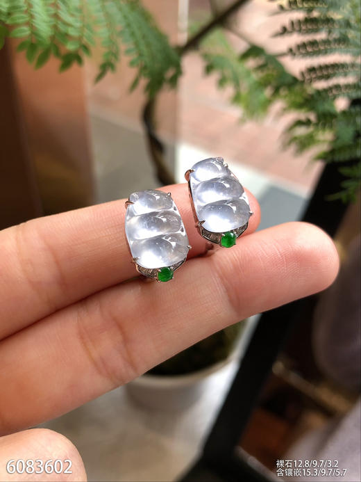 6083602，福豆耳钉。具体价格微信咨询 商品图2