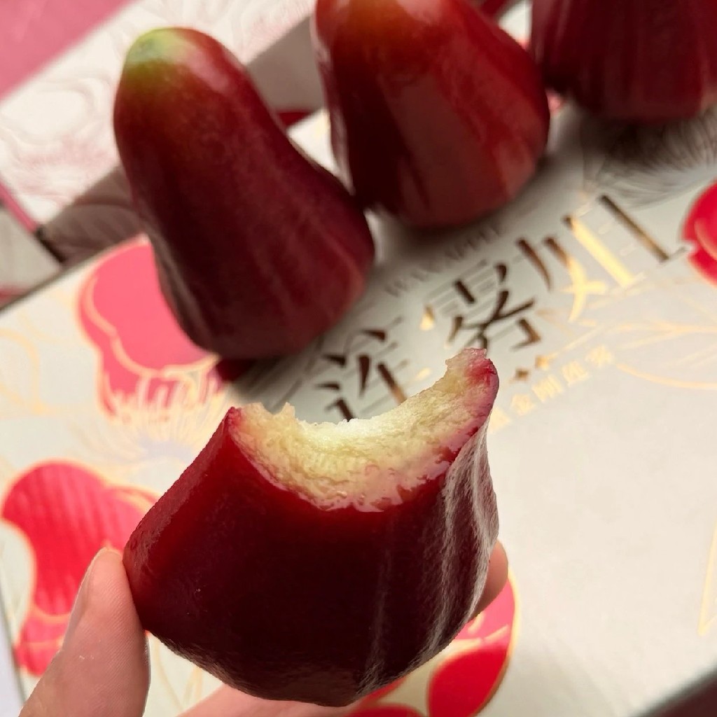 海南空运✈️ 黑金刚莲雾【大果 净重约3斤】一口爆汁的清甜，让身体立马通透起来，尤其是口干舌燥的时候，一颗莲雾相当于八杯水。