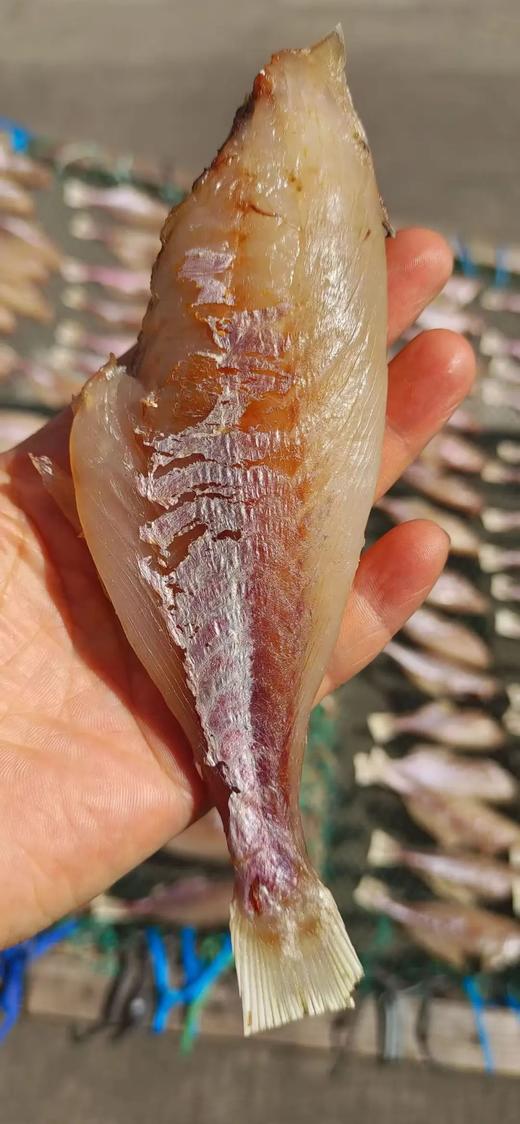 L‘’【断货王】，招牌必吃 无小刺！免处理！直接香煎大眼鱼干 商品图4