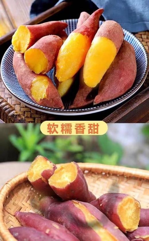 周五取货：【海南沙地小香薯】一袋3斤左右，细腻香甜，美味营养！ 商品图4