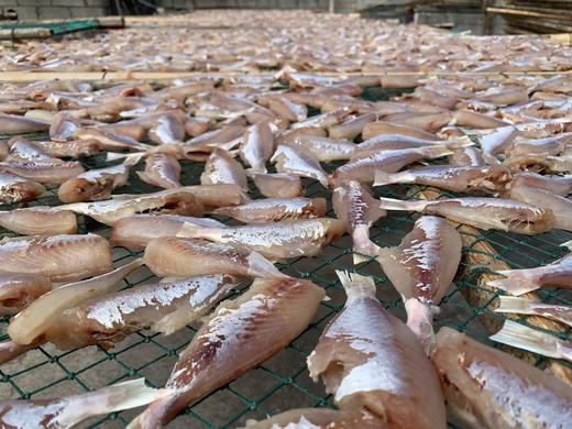 L‘’【断货王】，招牌必吃 无小刺！免处理！直接香煎大眼鱼干 商品图1