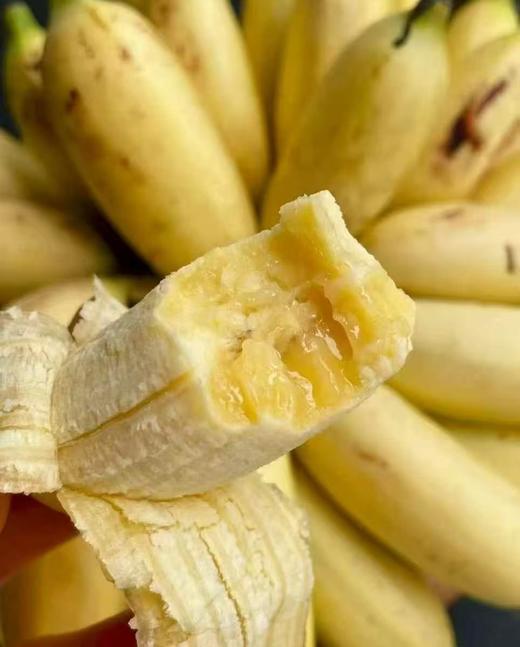 周三取货：【馋猫君皇帝蕉】一箱毛重5斤左右，论颜值和口感并存的一款香蕉！ 商品图2